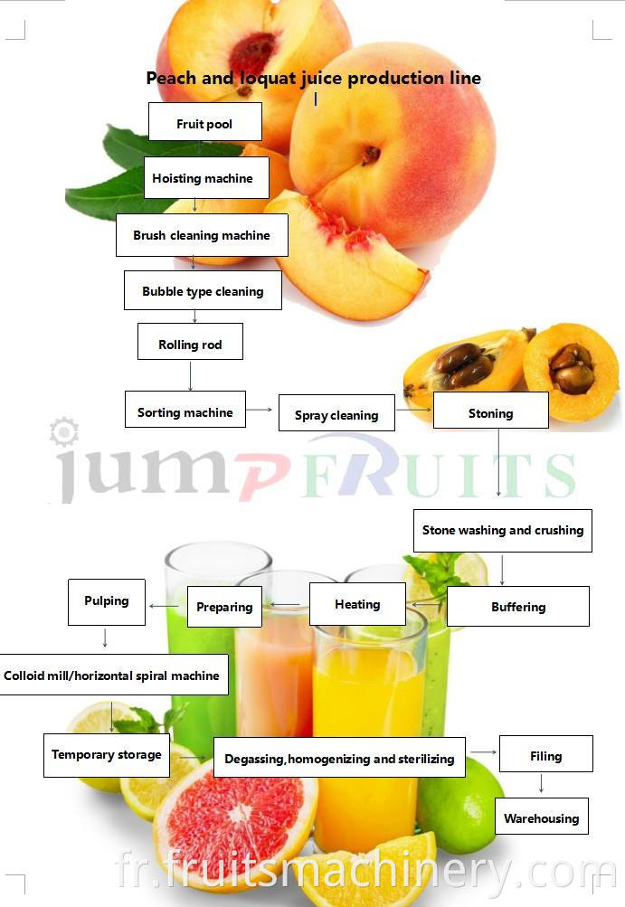 Orange Juice Concentrate fruit processing plant